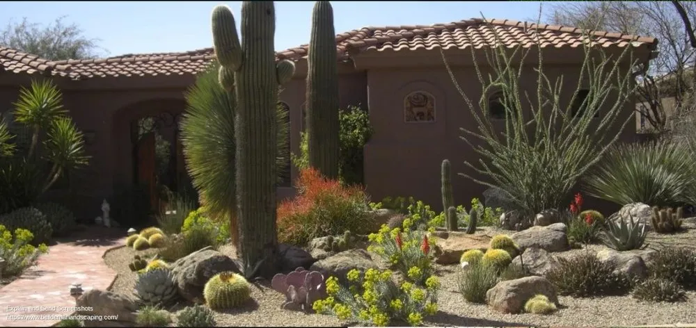Professional garden landscaping in Tempe, AZ by Bell de Mar Landscaping & Maintenance