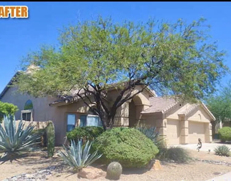 Affordable landscape installation for outdoor upgrades across Tempe, AZ - Bell de Mar Landscaping & Maintenance