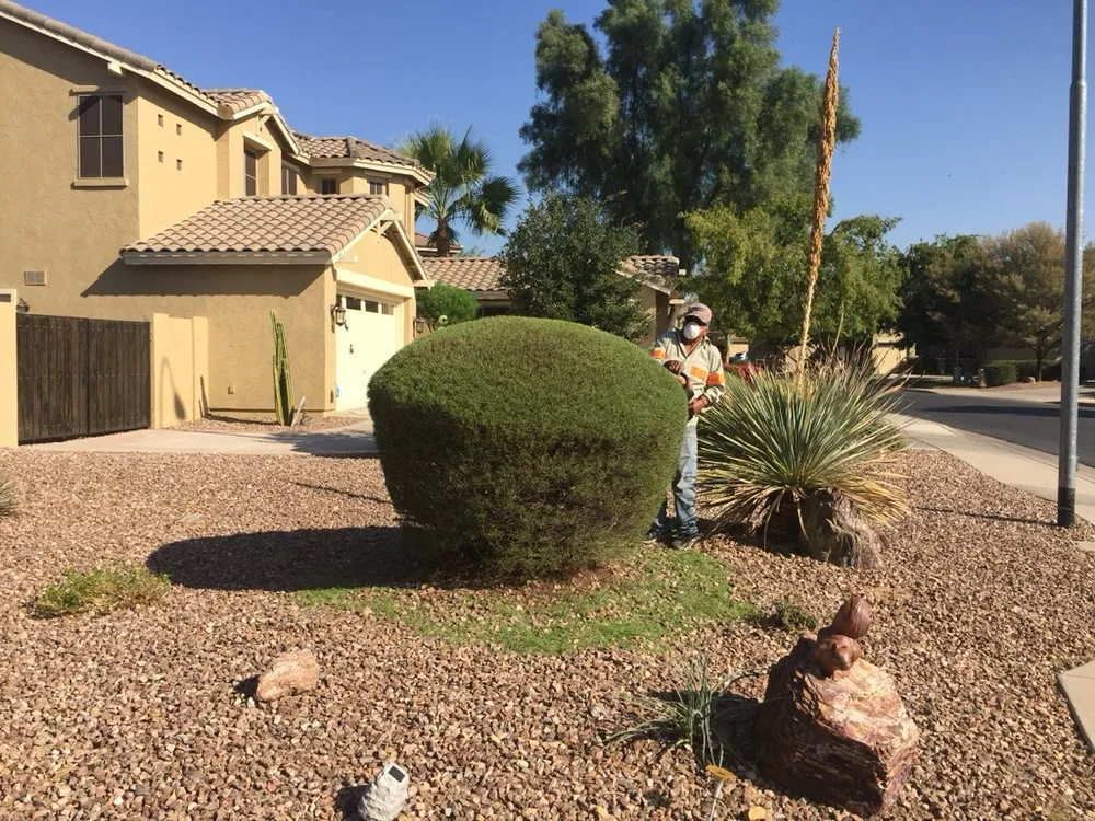 Affordable yard cleanup service for residential properties across Tempe, AZ - Bell de Mar Landscaping & Maintenance