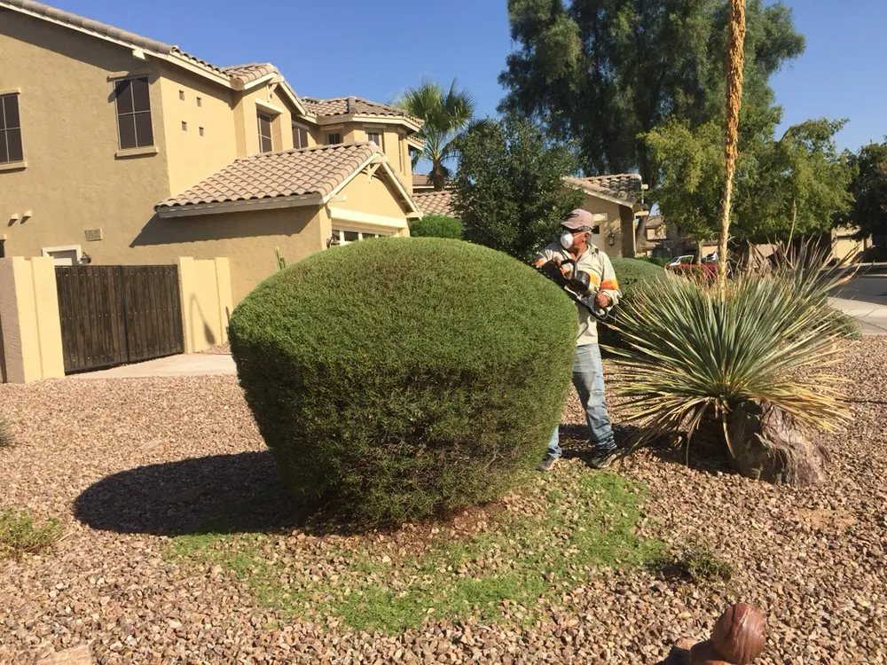 Local garden landscaping experts serving Tempe, AZ - Bell de Mar Landscaping & Maintenance