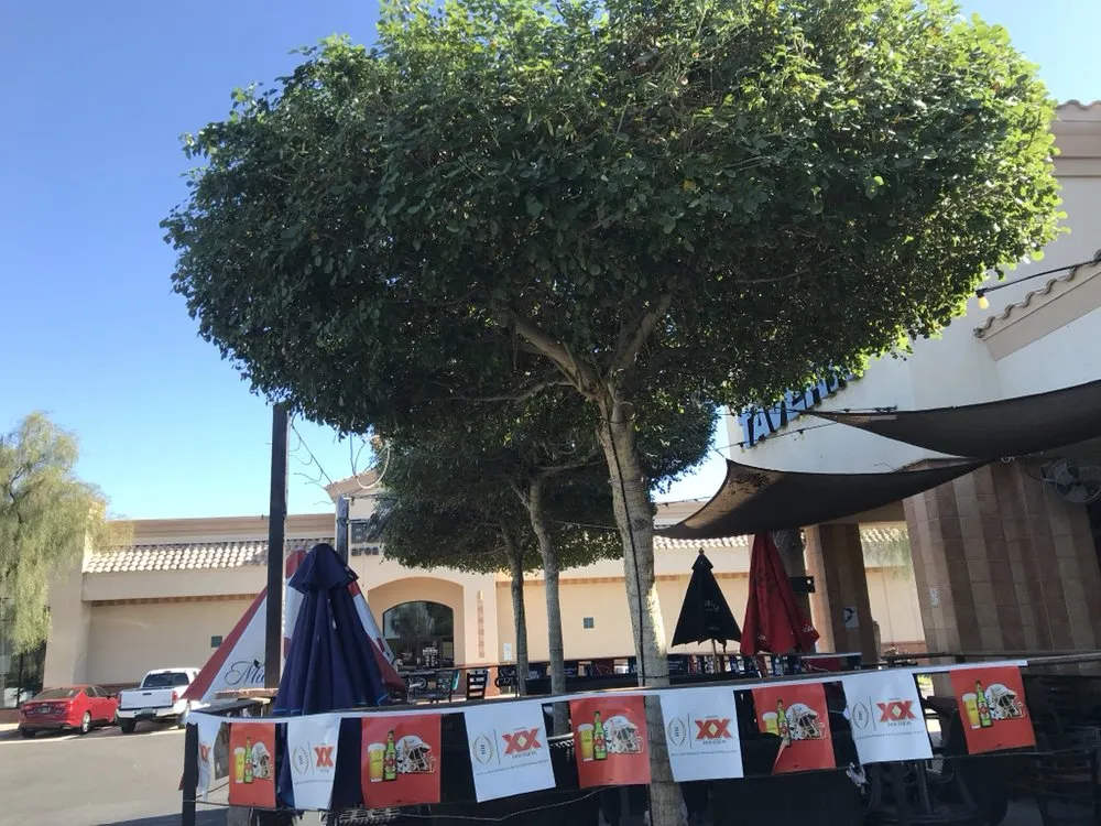 Local landscaping services in Tempe, AZ - Bell de Mar Landscaping & Maintenance