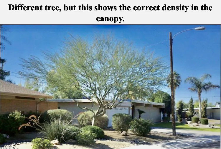 Expert lawn care service in Tempe, AZ - Bell de Mar Landscaping & Maintenance