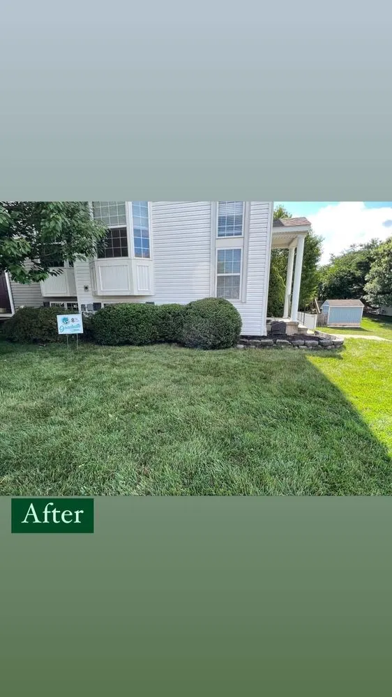 Expert yard cleanup service in Sykesville, MD - Bell Enterprise