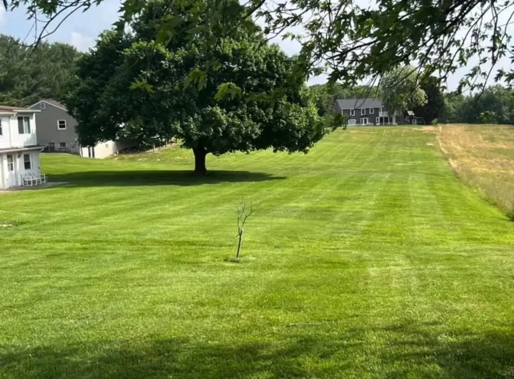 Affordable residential landscaping with custom design in Sykesville, MD by Bell Enterprise