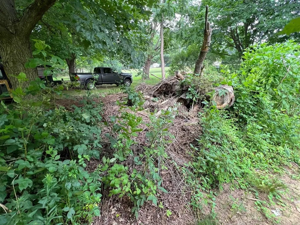 Professional yard cleanup service in Sykesville, MD - Bell Enterprise