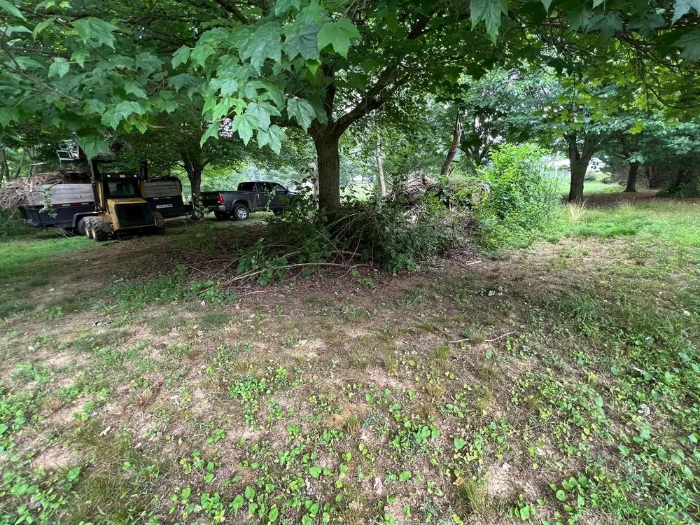 Affordable landscape design in Sykesville, MD - Bell Enterprise