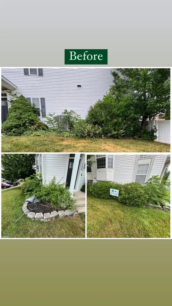 Top-rated lawn care service with custom design across Sykesville, MD - Bell Enterprise