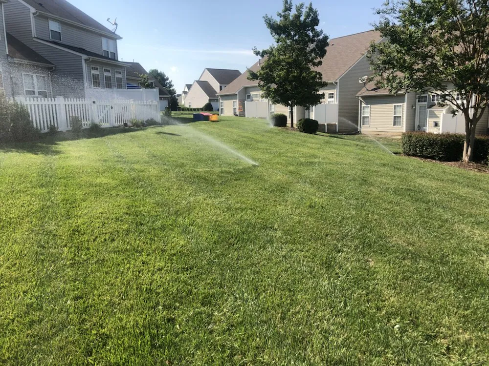 Trusted landscape installation for year-round maintenance across Indian Trail, NC - Bell Group Irrigation & Lighting