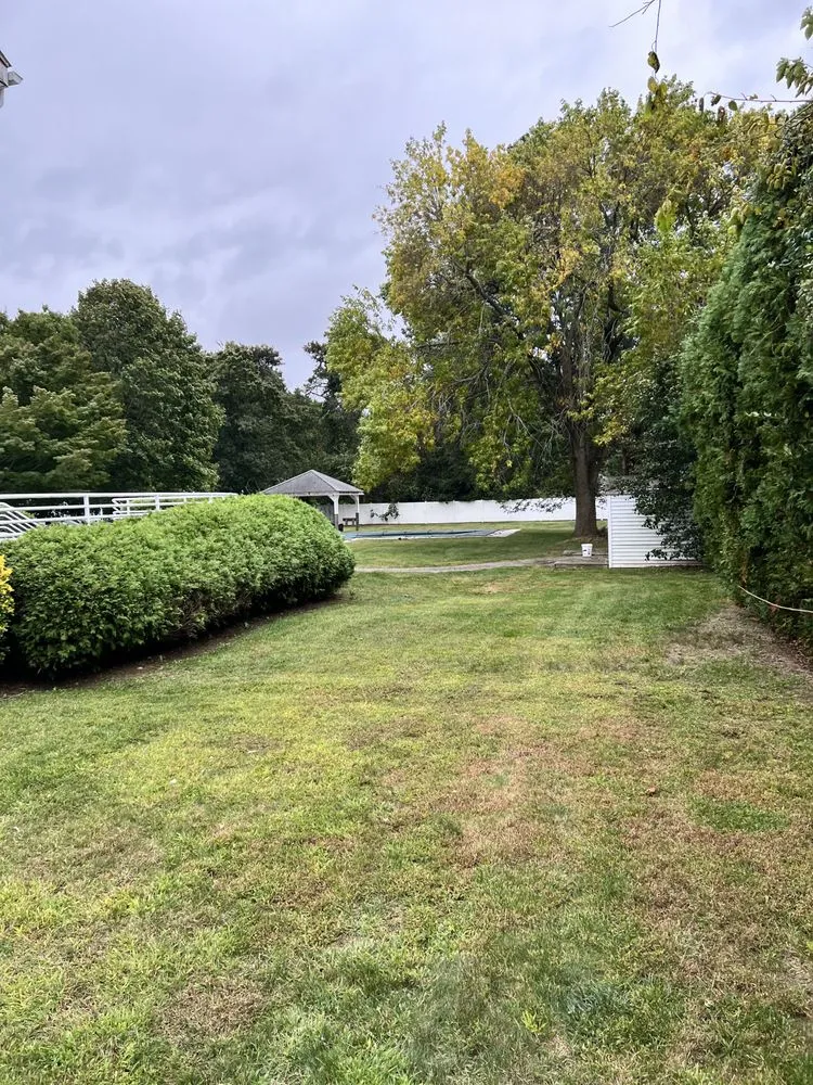 Top-rated lawn mowing service experts serving Wyandanch, NY - Bell Landscaping