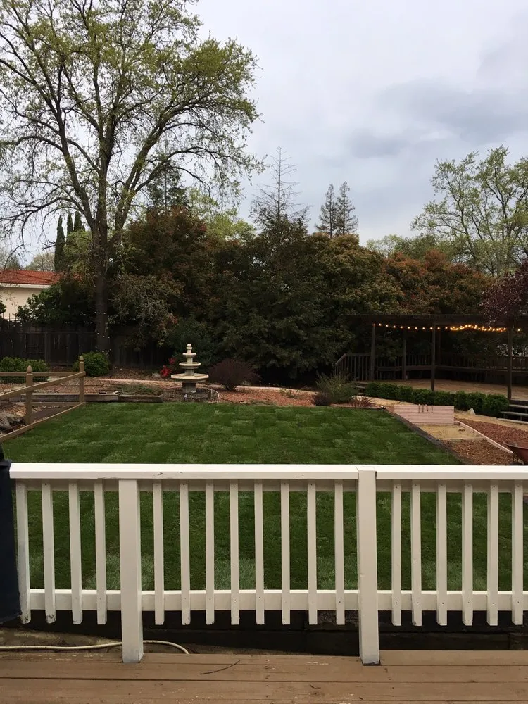 Local outdoor landscaping with custom design across El Dorado Hills, CA - Bell Sod and Hydroseed