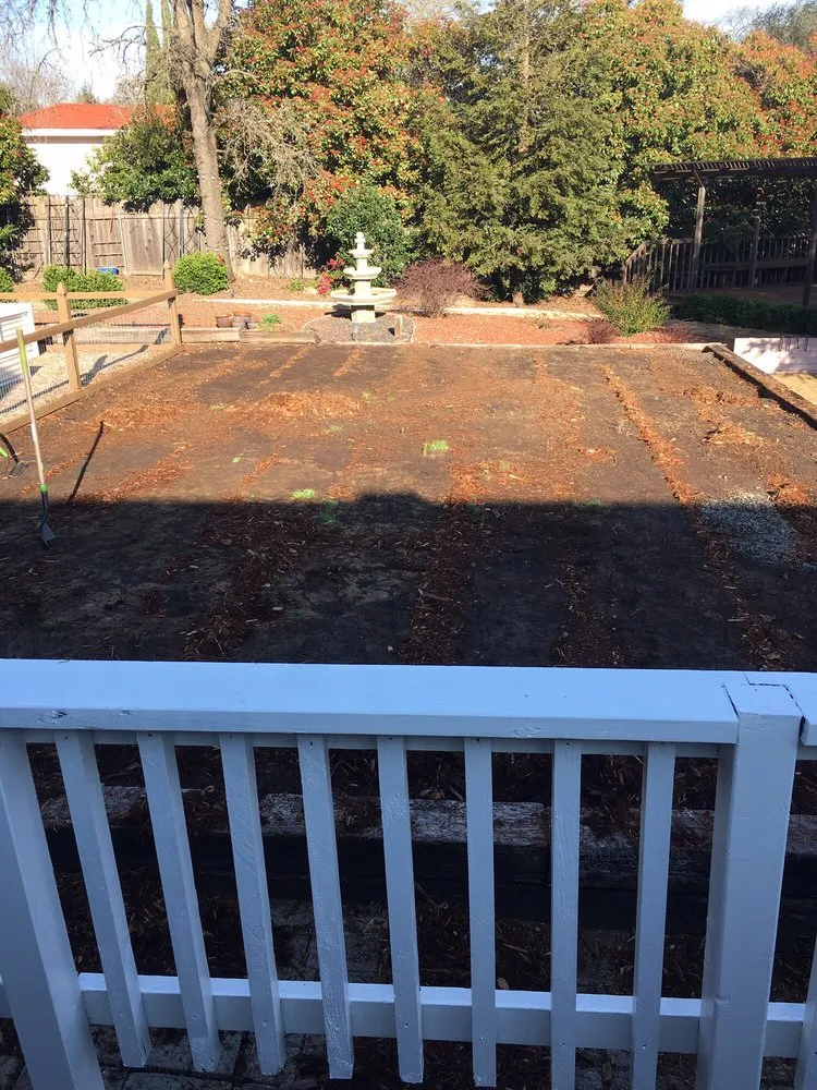 Top-rated residential landscaping near you across El Dorado Hills, CA - Bell Sod and Hydroseed