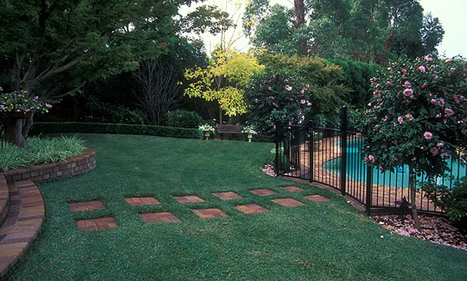 Trusted lawn care service in El Dorado Hills, CA by Bell Sod and Hydroseed