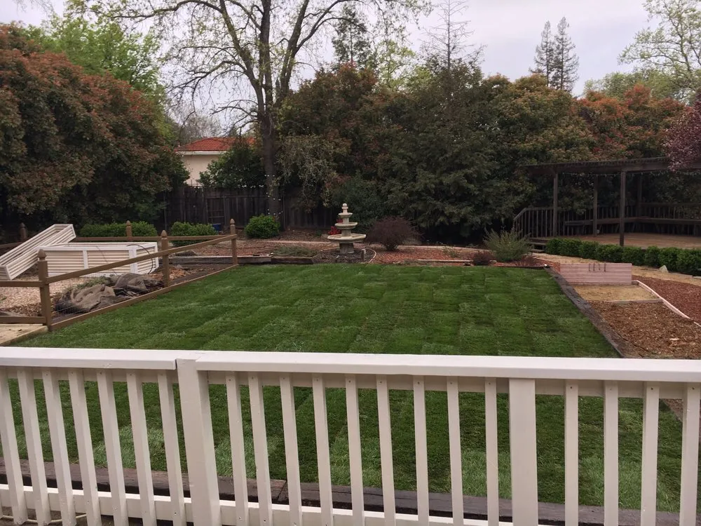 Custom lawn mowing service in El Dorado Hills, CA - Bell Sod and Hydroseed