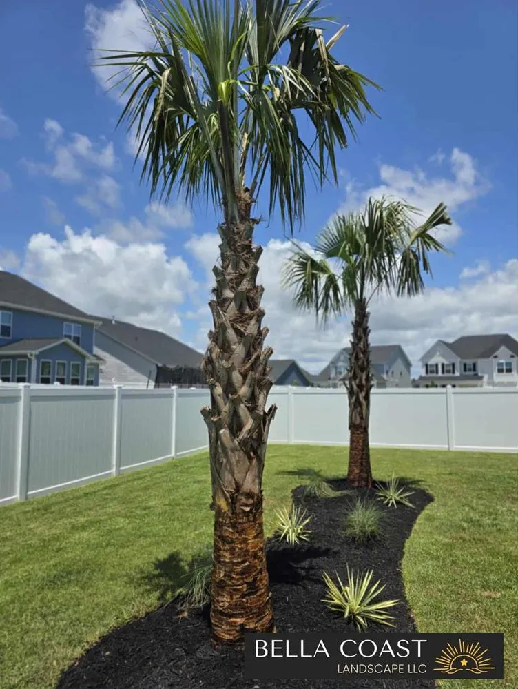 Expert landscape design in Myrtle Beach, SC - Bella Coast Landscape