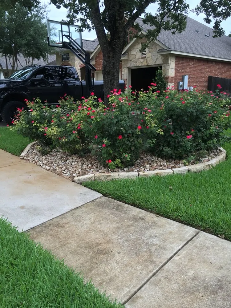Custom lawn mowing service for year-round maintenance in Austin, TX by Bella Cosa Lawn & Landscape