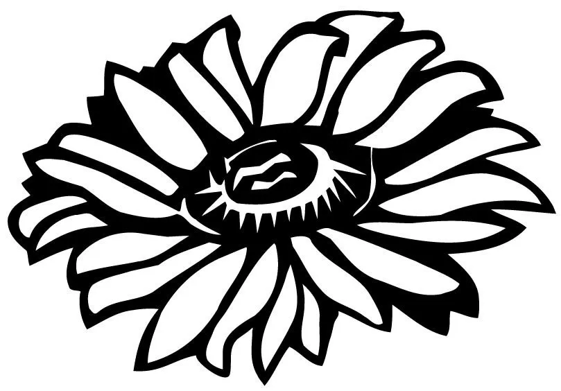 Trusted landscaping services in Inwood, NY by Bella Flores Landscaping