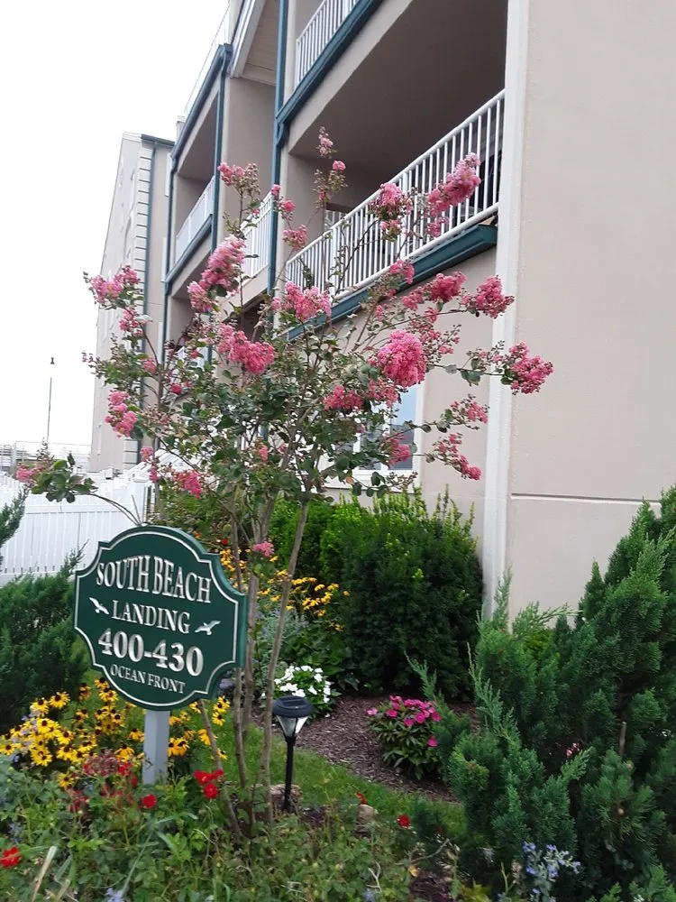 Affordable outdoor landscaping in Inwood, NY by Bella Flores Landscaping