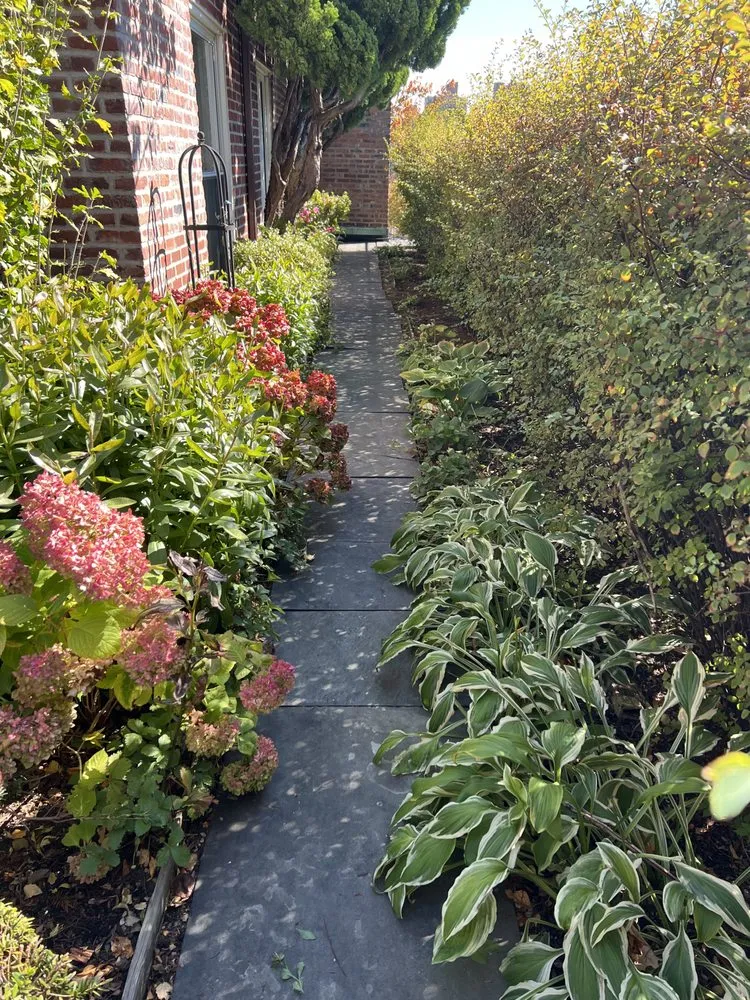 Local lawn care service for beautiful yards across New York, NY - Bella Gardens