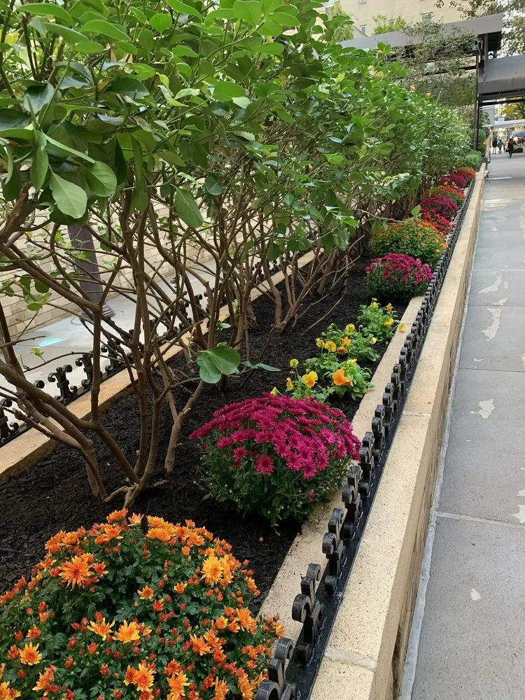 Professional lawn care service experts serving New York, NY - Bella Gardens