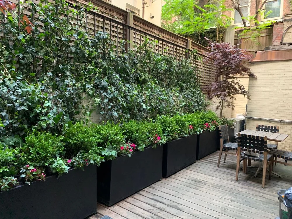 Trusted yard maintenance near you across New York, NY - Bella Gardens