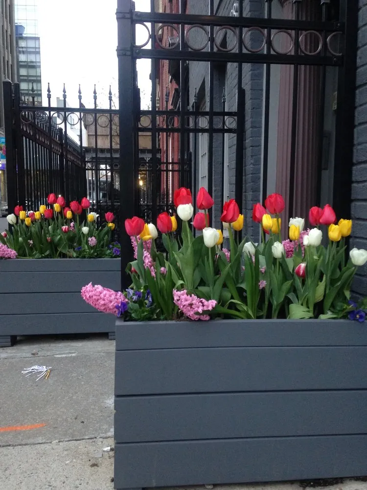 Trusted lawn care service in New York, NY by Bella Gardens