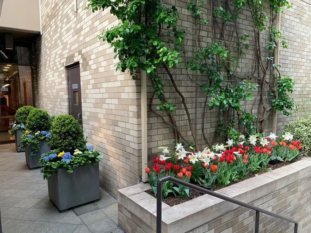Expert landscaping services with custom design across New York, NY - Bella Gardens
