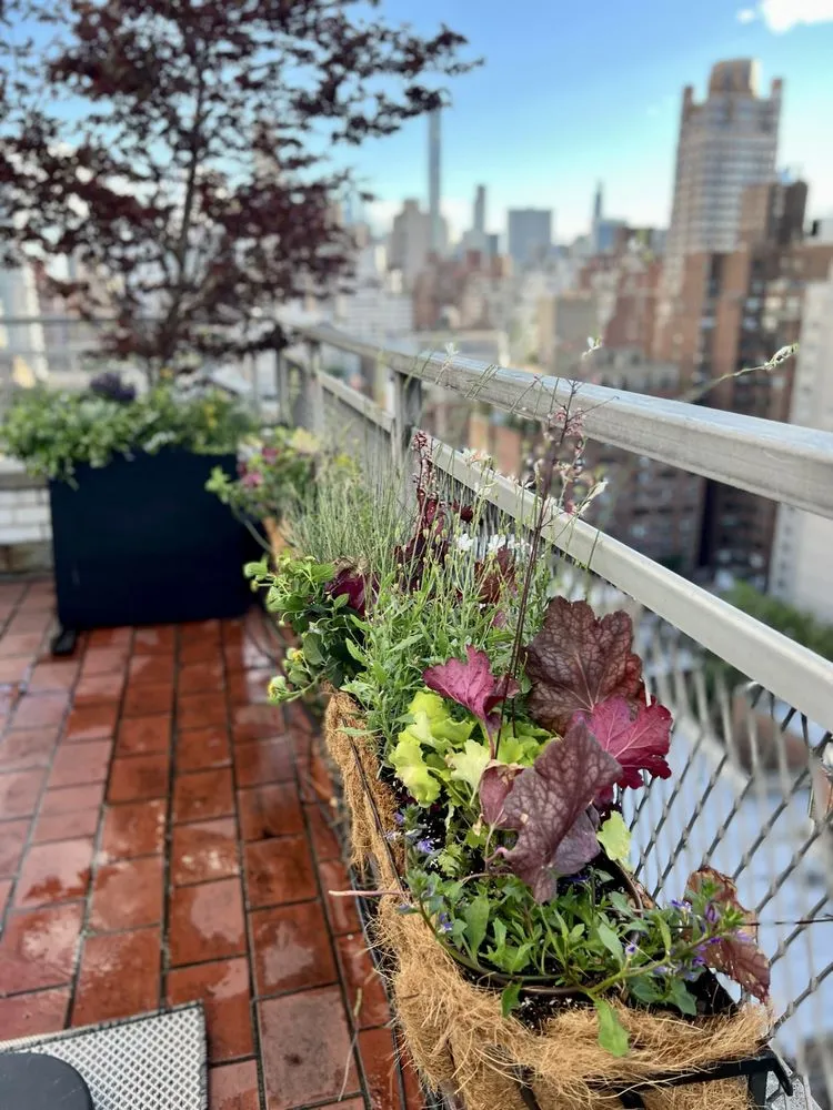 Affordable residential landscaping near you across New York, NY - Bella Gardens