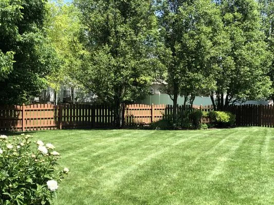 Bella Green Lawn Care