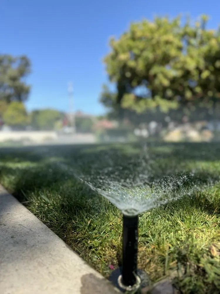 Professional lawn care service in Atascadero, CA - Bella Landscape