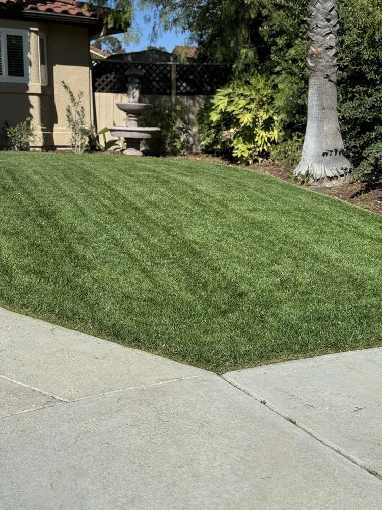 Reliable residential landscaping in Atascadero, CA - Bella Landscape