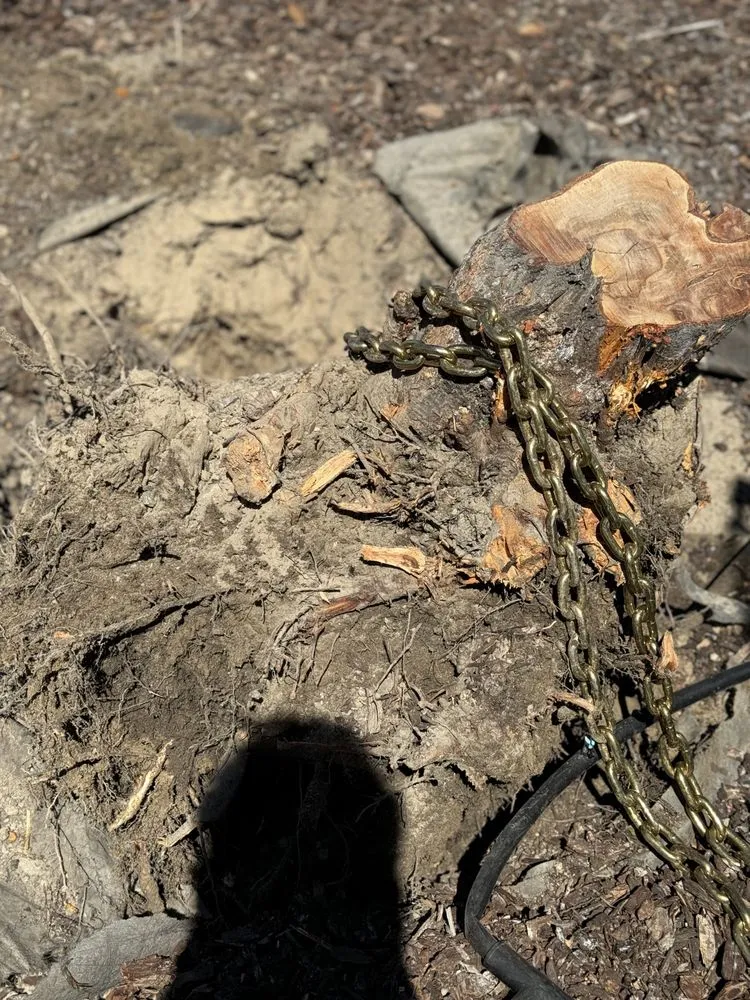 Custom landscaping services for beautiful yards in Atascadero, CA by Bella Landscape