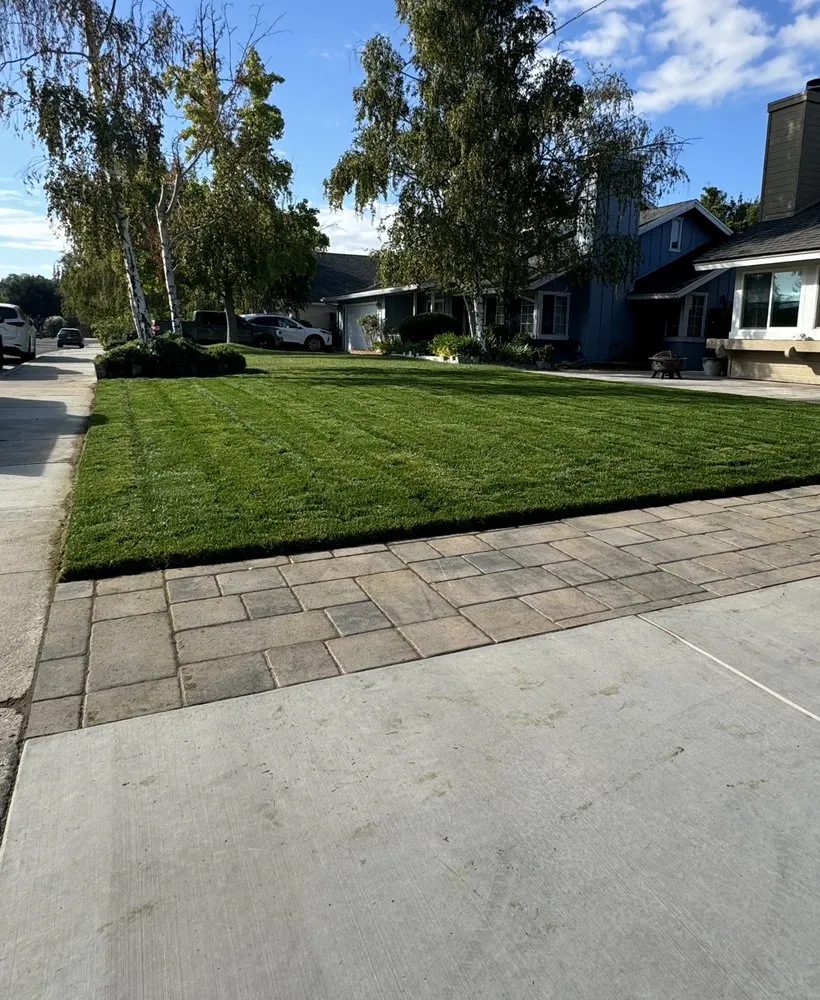 Reliable outdoor landscaping for homes across Atascadero, CA - Bella Landscape
