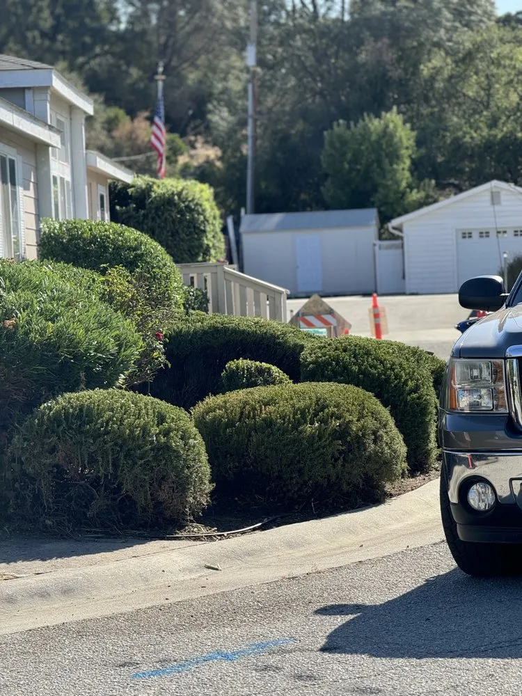 Top-rated residential landscaping experts serving Atascadero, CA - Bella Landscape