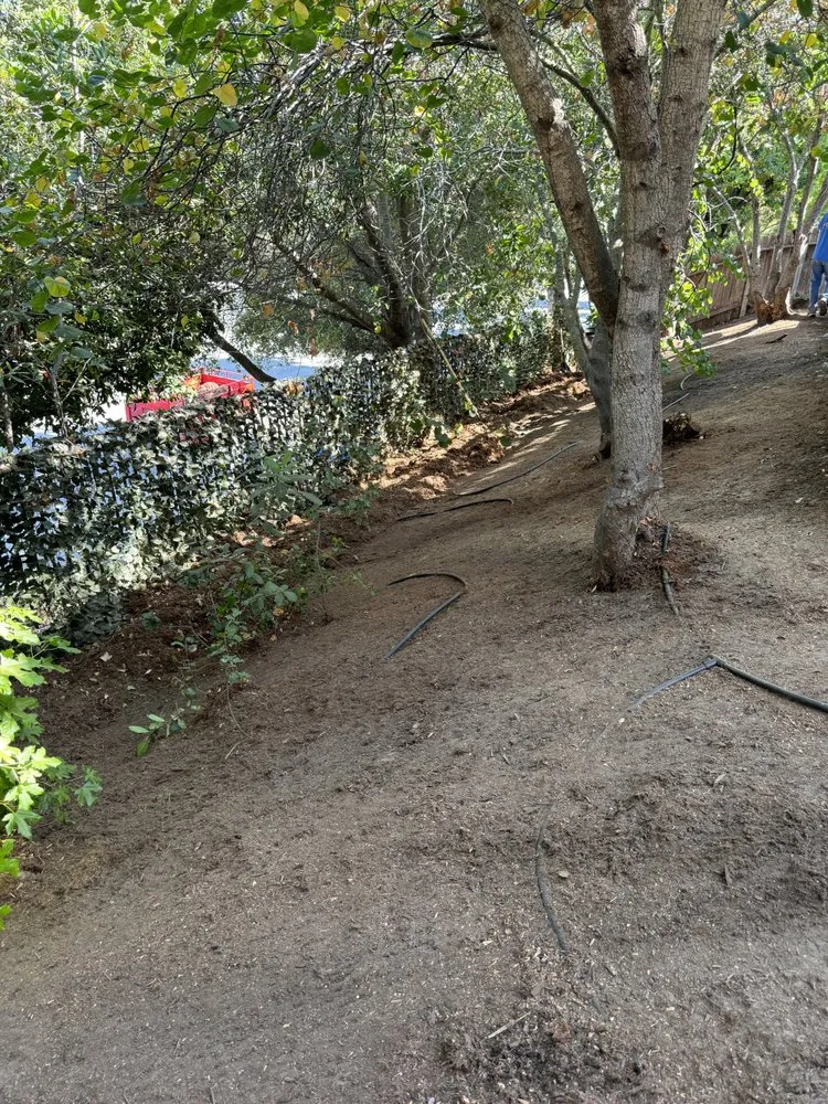 Affordable residential landscaping in Atascadero, CA - Bella Landscape