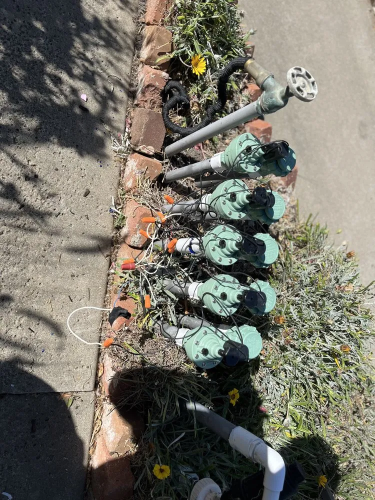 Reliable garden landscaping for beautiful yards across Atascadero, CA - Bella Landscape