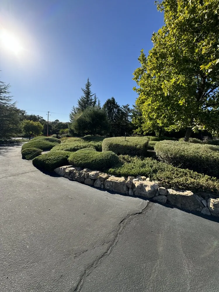Expert landscape design near you in Atascadero, CA by Bella Landscape
