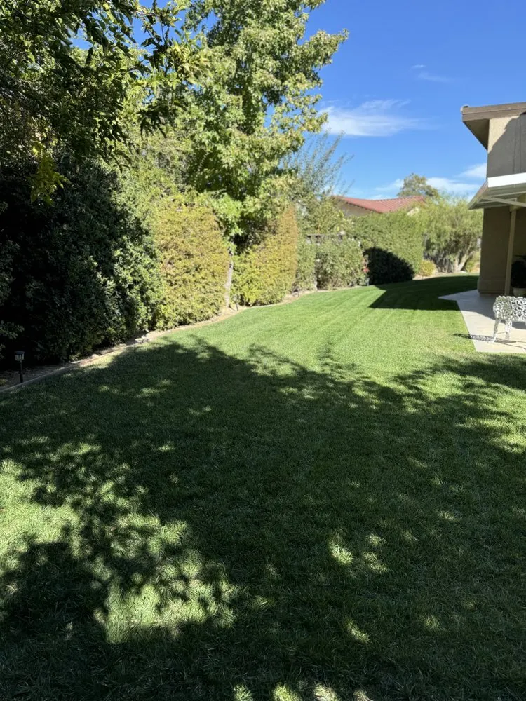Professional landscaping services for year-round maintenance across Atascadero, CA - Bella Landscape