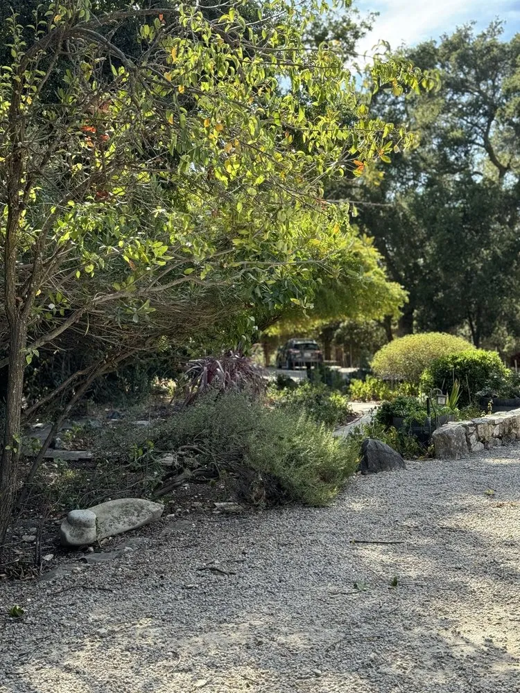 Professional landscaping services for outdoor upgrades across Atascadero, CA - Bella Landscape
