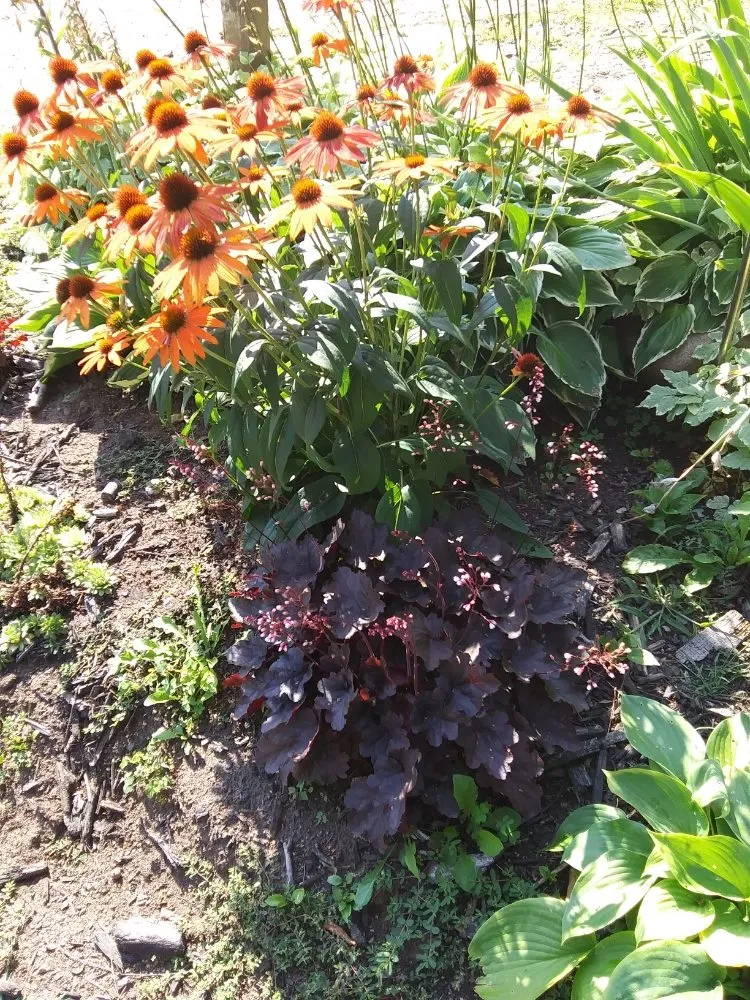 Custom yard maintenance experts serving Ironwood, MI - Bella Landscaping & Lawn Maintenance