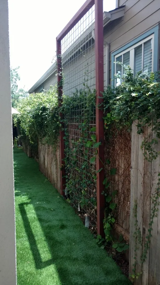 Affordable landscape design in Westminster, CO by Bella Landscaping Construction