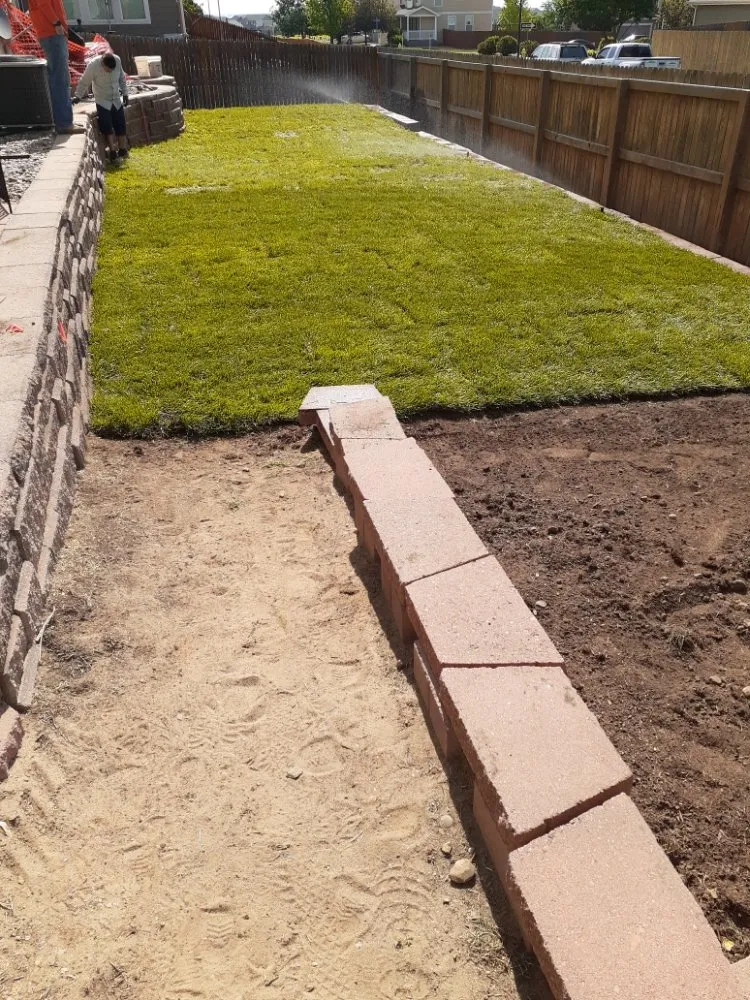 Custom yard cleanup service in Westminster, CO by Bella Landscaping Construction