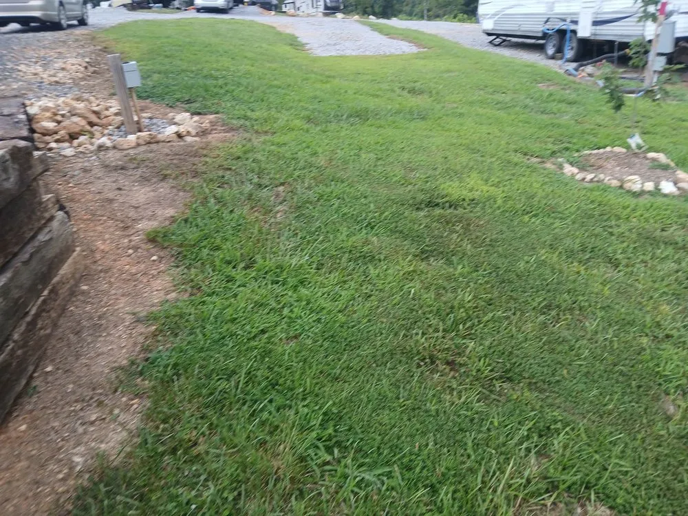 Custom garden landscaping experts serving Niota, TN - Bella Lawn Care