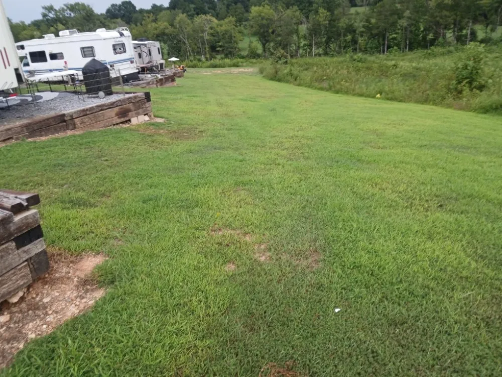 Expert landscape installation experts serving Niota, TN - Bella Lawn Care