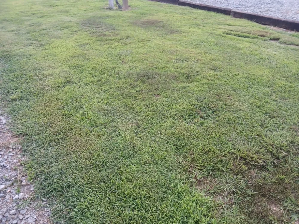 Affordable landscape design experts serving Niota, TN - Bella Lawn Care