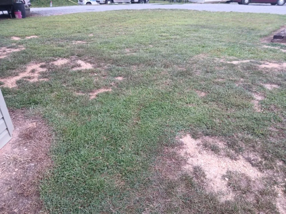 Local lawn care service in Niota, TN by Bella Lawn Care