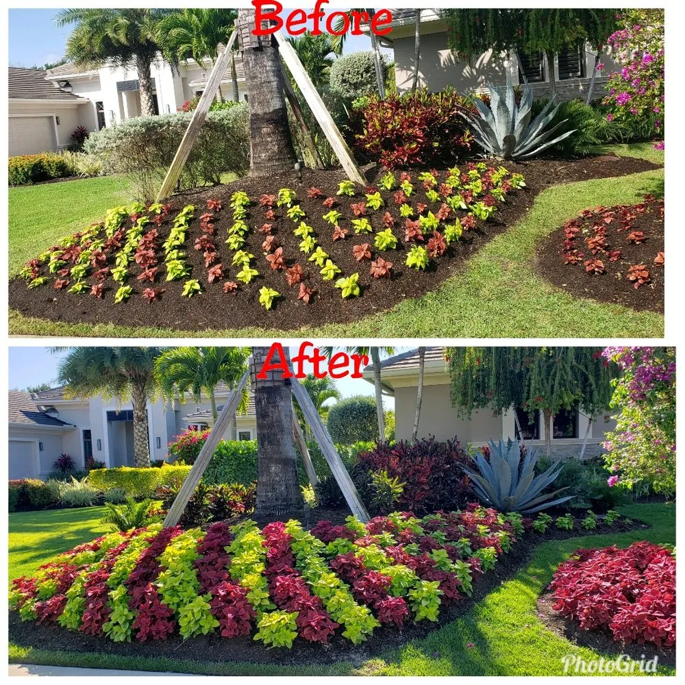 Custom landscape design in Naples, FL by Bella Lawn Maintenance