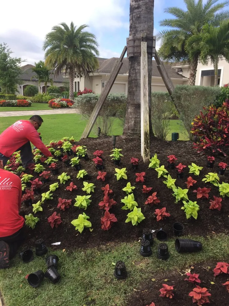 Top-rated lawn care service for year-round maintenance in Naples, FL by Bella Lawn Maintenance