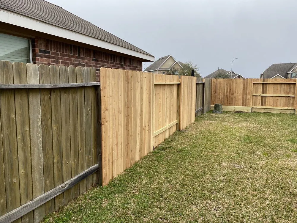 Top-rated yard cleanup service experts serving Houston, TX - Bella Luxe Landscape and Design