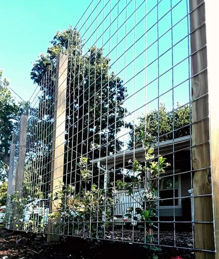 Reliable outdoor landscaping experts serving Houston, TX - Bella Luxe Landscape and Design