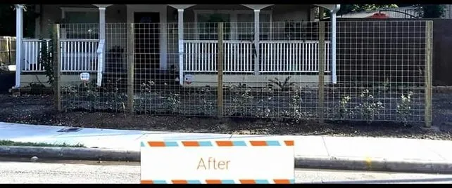 Top-rated yard maintenance near you in Houston, TX by Bella Luxe Landscape and Design